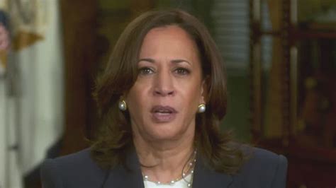 Kamala Harris Gives Fiery Response On Gun Reform Stop With The False