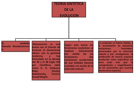 Mapas Conceptuales Evoluci N Bueno Actividad Mapas Conceptuales