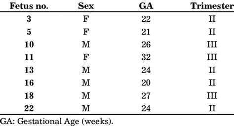 Studied Fetuses By Sex Gestational Age And Trimester Download