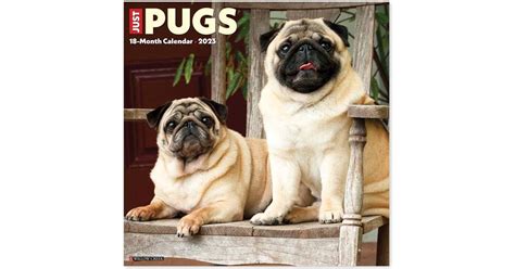 Willow Creek Press Just Pugs 2023 Calendar • Price