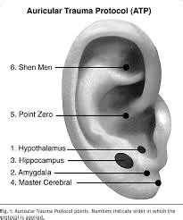 Auricular Acupuncture Flashcards Quizlet