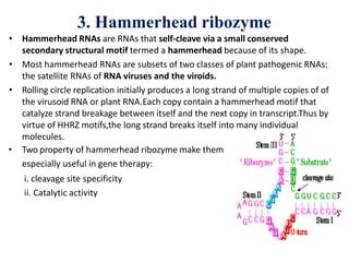 Ribozyme Pptx