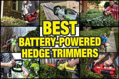 Best Battery-Powered Hedge Trimmer Reviews - PTR