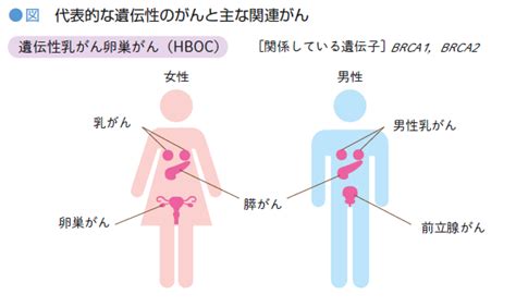 遺伝性乳がん卵巣がんを知ろう！