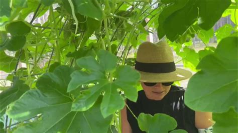 Garden Tour Spring 2023 Youtube
