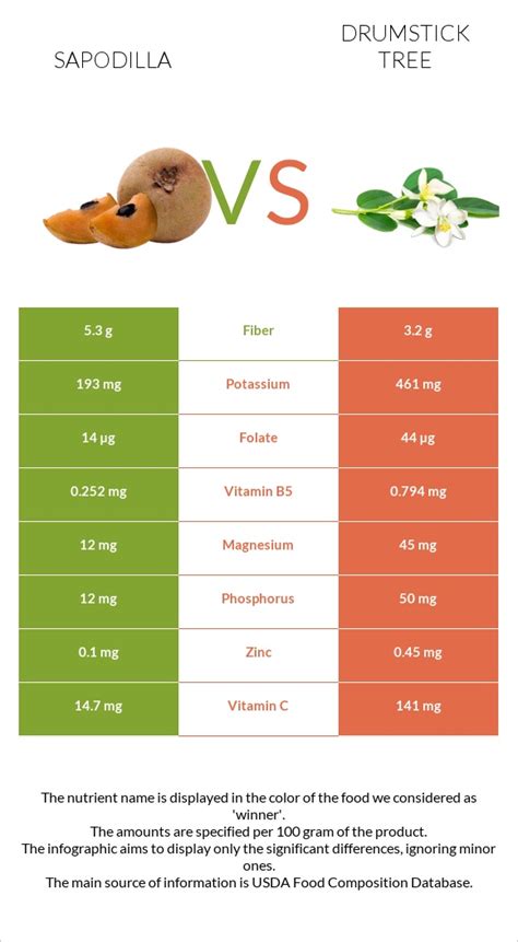 Sapodilla Vs Drumstick Tree — In Depth Nutrition Comparison