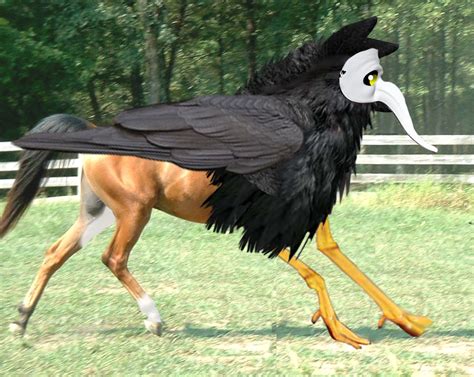 Wild Hippogriff Spotted by MercenaryBuster on DeviantArt