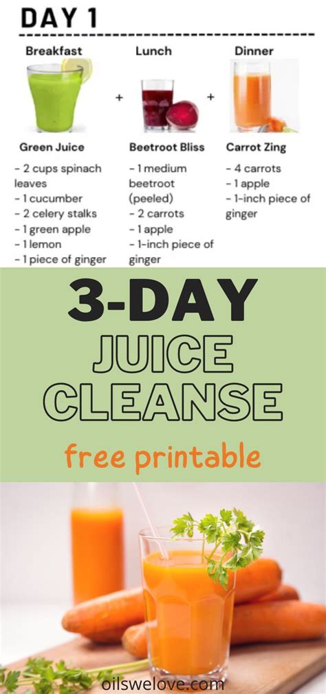 3 Day Juice Cleanse Plan A Step By Step Guide Juice Cleanse Recipes