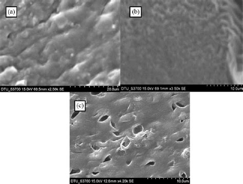 Sem Micrographs Of Pampani Hydrogels Doped With A H 2 So 4 B