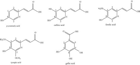 Scielo Brasil Structural Study Of Phenolic Acids By Triple Quadrupole