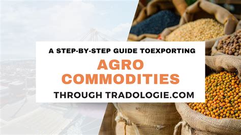 Are You Looking To Import Or Export Agro Commodities