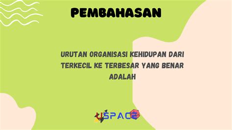 Urutan Organisasi Kehidupan Dari Terkecil Ke Terbesar Yang Benar Adalah