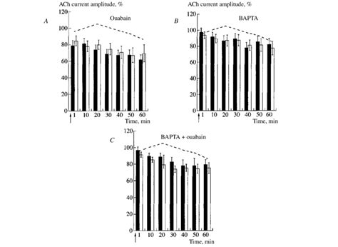 The Effects Of Ouabain And BAPTA On The Relationship Between The