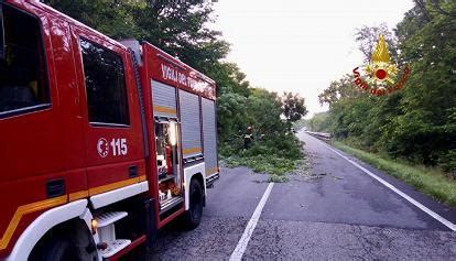 Auto Contro Albero Marito Illeso Mamma E Due Figli Gravemente Feriti