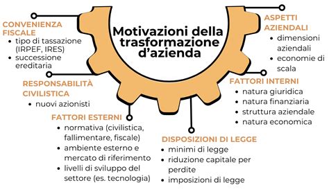 Guida Completa Sulla Trasformazione Societaria FareNumeri