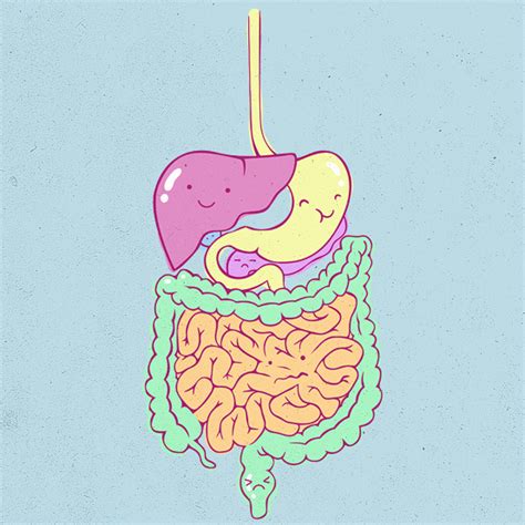 Cute Digestive System by Bentlie on DeviantArt