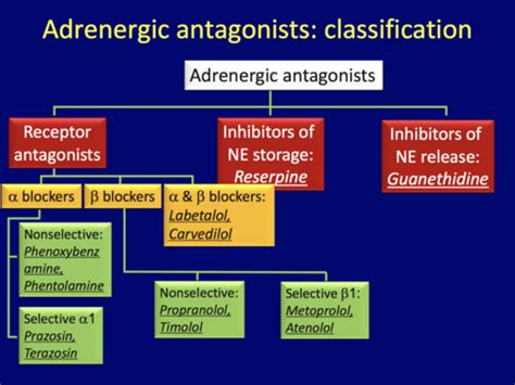 Adrenergic Antagonists Flashcards Quizlet