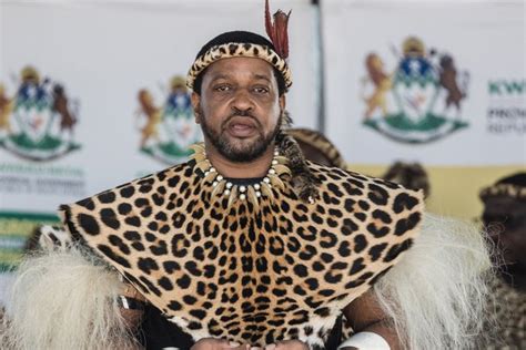 Appointment Of Zulu King Unlawful