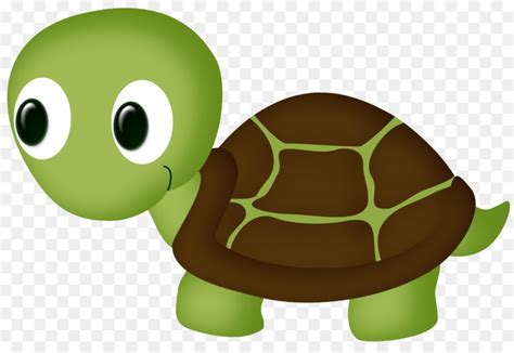 Russian Tortoise Clipart