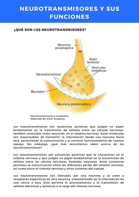 Neurotransmisores Y Sus Funciones Facilitando Tu Estudio Udocz