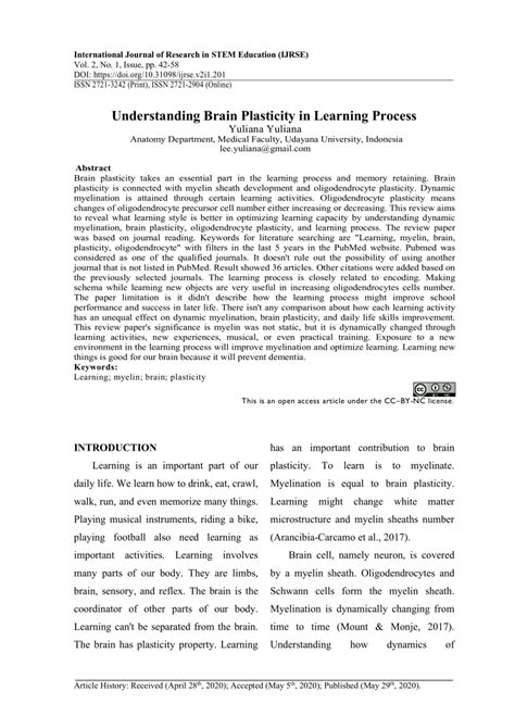 (PDF) Understanding Brain Plasticity in Learning Process