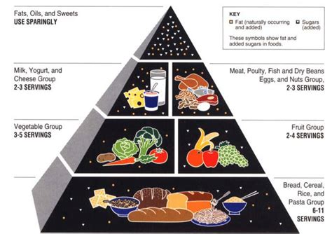 Food Guide Pyramid Chart