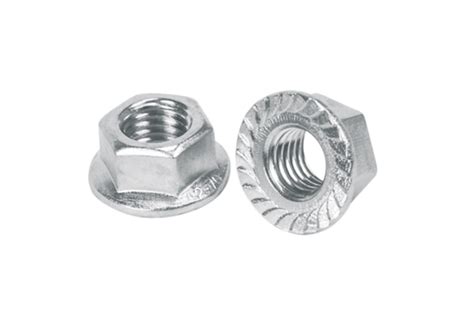 Hexagonal Stainless Steel Flange Nut Size M34 At Rs 1 Piece In Vadodara