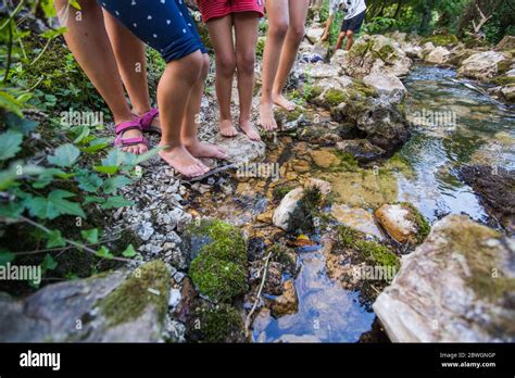 Kinder Barfu Fu Zu Fu Durch Klares Wasser In Wald Bach Abenteuer Am