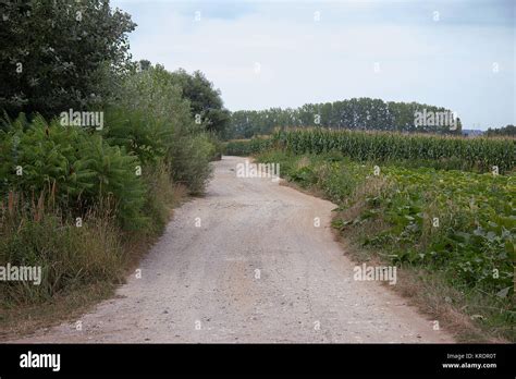 Gravel Road Through Farmland Stock Photo Alamy