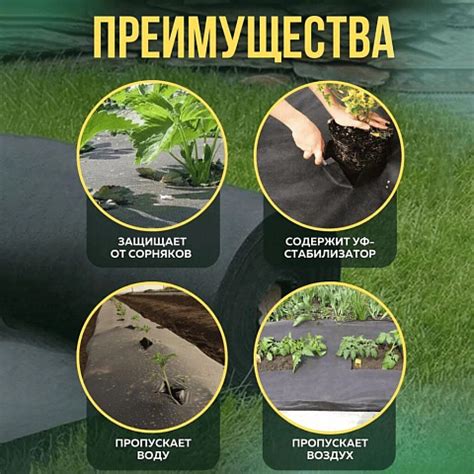 Все для растениеводства - купить в Москве товары для выращивания ...
