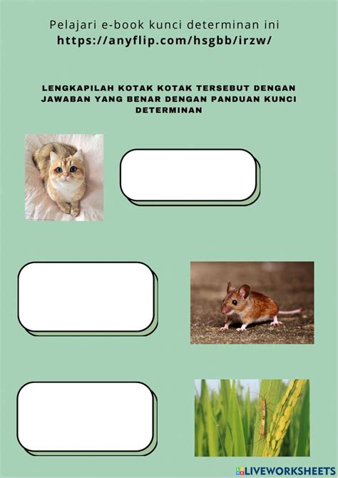 Lkpd Klasifikasi Makhluk Hidup Interactive Worksheet Live Worksheets