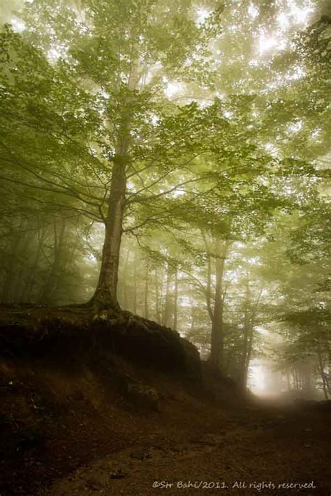 Un Tros De Bellesa L Espectacle De La Llum