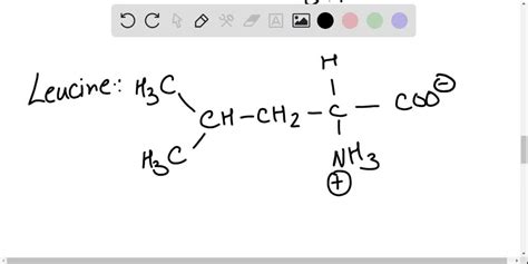 SOLVED Draw The Zwitterion Structure For The Amino Acid 52 OFF