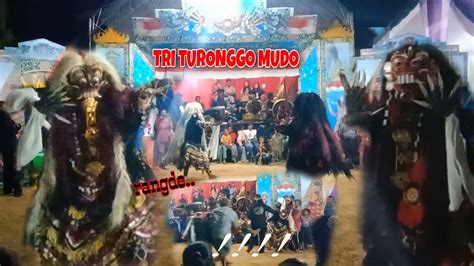 Tari RANGDE Kreasi Jaranan Tri Turonggo Mudo Live Mulya Sari Tulang