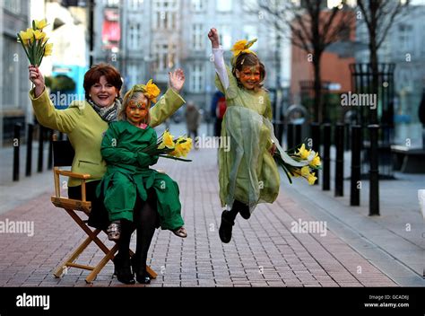 Irish Cancer Society Daffodil Day Stock Photo Alamy