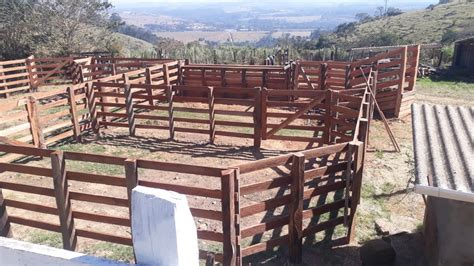 Modelo De Estrutura Para Gado Curral Mangueiro Remangas Pecu Ria De