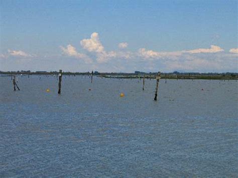 Rosolina Mare In Bicicletta Sul Delta Del Po Laguna Di Caleri