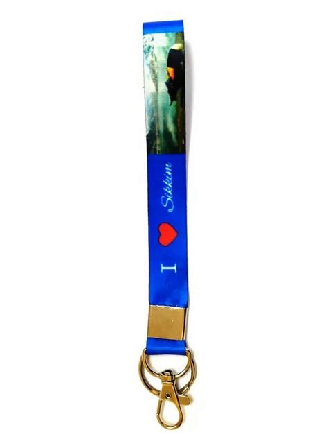 Printed 05 Inch Neck Lanyard Keychain At Rs 10 In New Delhi Id