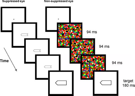 Stimuli And Procedure The Sequence Of Stimulation In The 282 Ms