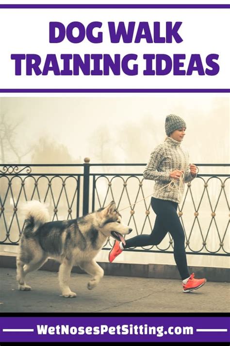 Dog Walk Training Ideas - Wet Noses Pet Sitting