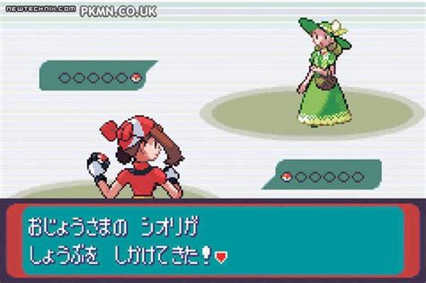 Pokemon Battle Screen