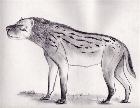Dinocrocuta Gigantea By Smerjeevski On Deviantart
