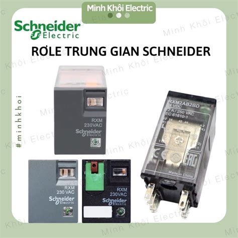 Rơ le trung gian Schneider kèm đế 8 chân và 14 chân RXM4LB2P7 relay