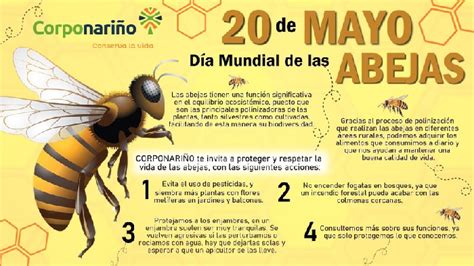 Las Abejas Son Tan Pero Tan Importantes Que Tienen Su Día Mundial