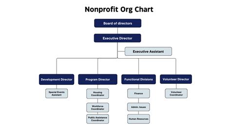 executive committee roles responsibilities   function