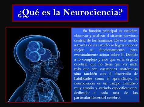 Qué es la neurociencia Neurociencia y educacion Neurociencia