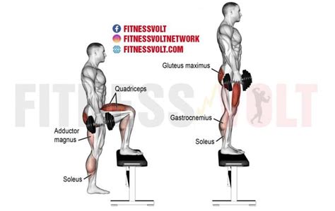 Dumbbell Step Ups To Strength Movement For The Lower Body, 42% OFF