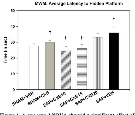 Figure From Cxb Attenuates Cognitive Deficits In The Mu P