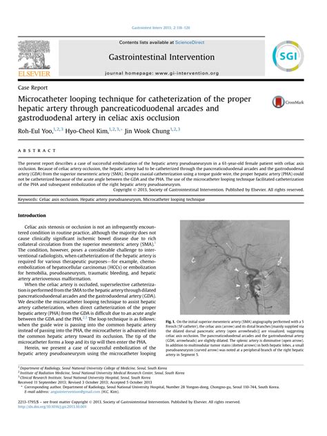 Pdf Microcatheter Looping Technique For Catheterization Of The Proper Hepatic Artery Through