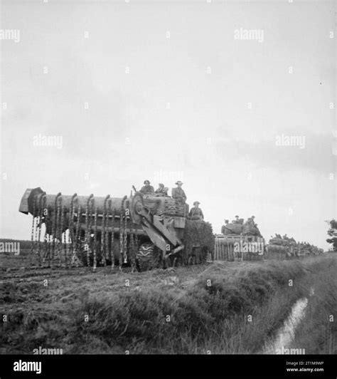 The British Army In North West Europe Sherman Crab Flail Tanks